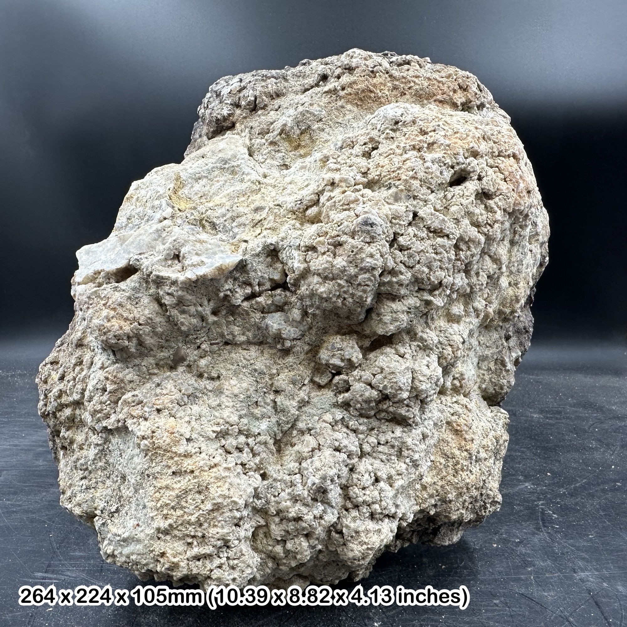 Dinosaur Coprolite Fossil 9.9kg Morrison Formation Jurassic Colorado USA Genuine Specimen Fossilised Dung with Certificate Authenticity