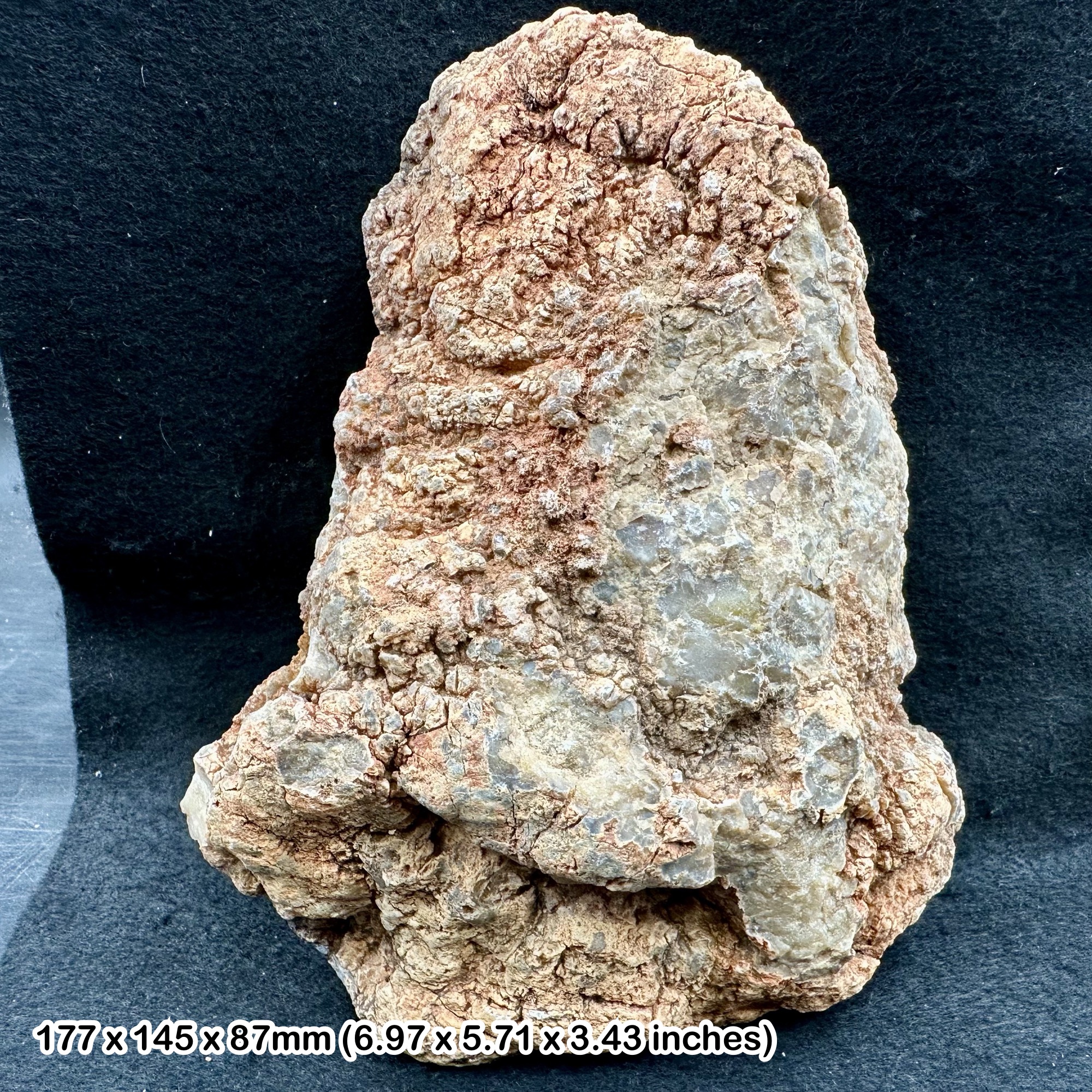 Dinosaur Coprolite Fossil 1.95kg Morrison Formation Jurassic Colorado USA Genuine Specimen Fossilised Dung with Certificate Authenticity