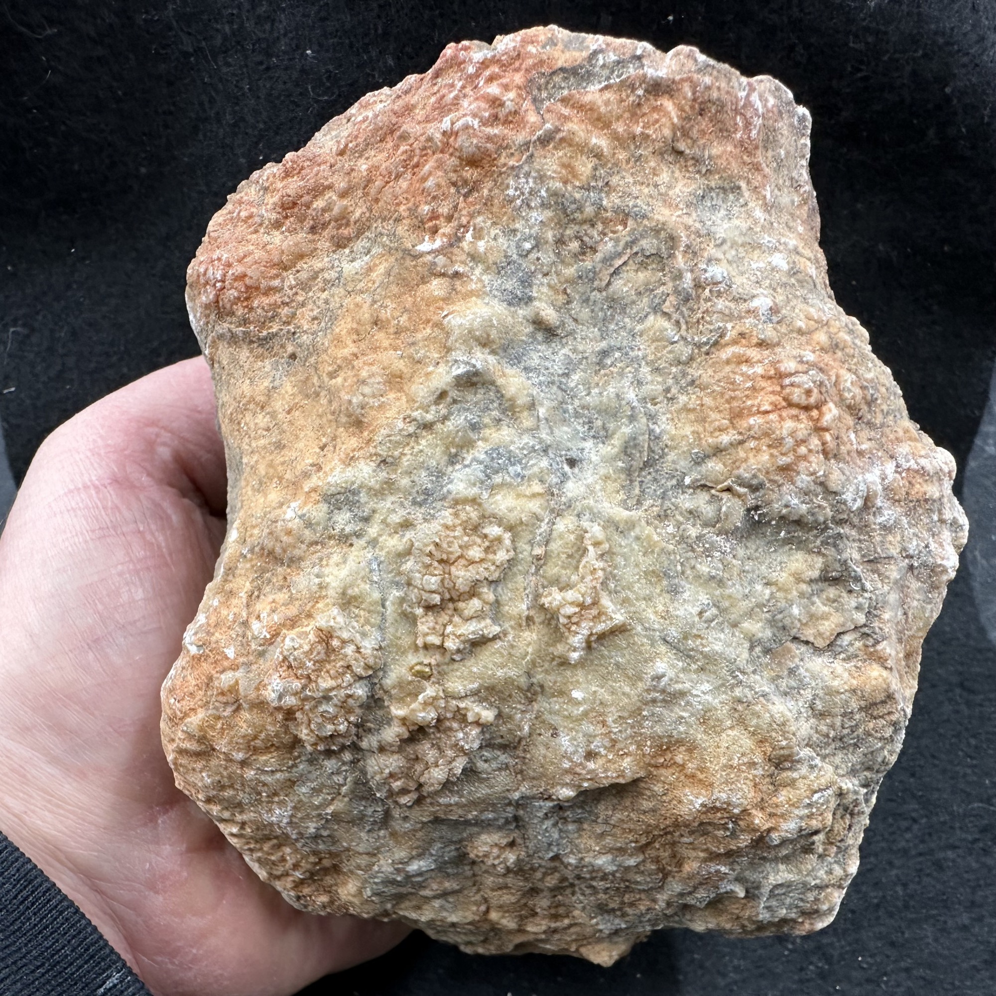 Dinosaur Coprolite Fossil 1.40kg Morrison Formation Jurassic Colorado USA Genuine Specimen Fossilised Dung with Certificate Authenticity