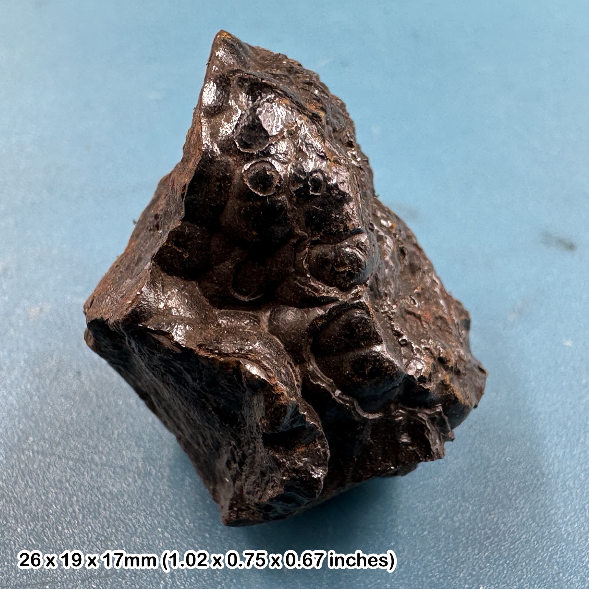 Hematite Kidney Ore Crystal - Natural USA Mineral - Genuine Metallic Iron Ore - Certificate Included