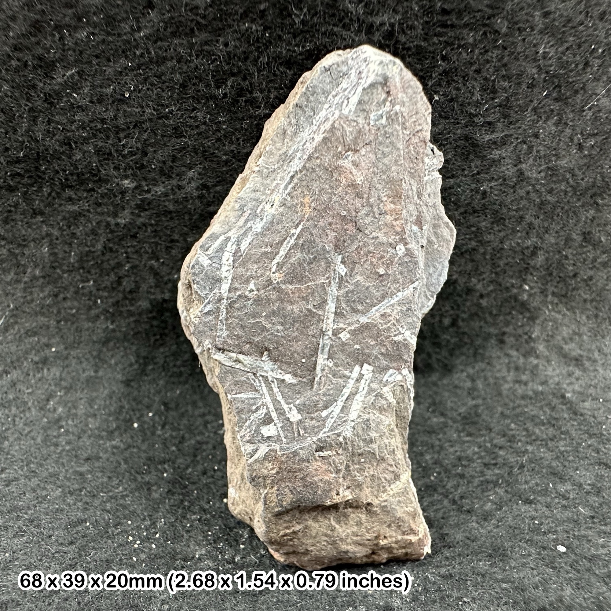 Chiastolite - authentic spiritual Spiritual crystal mineral stone