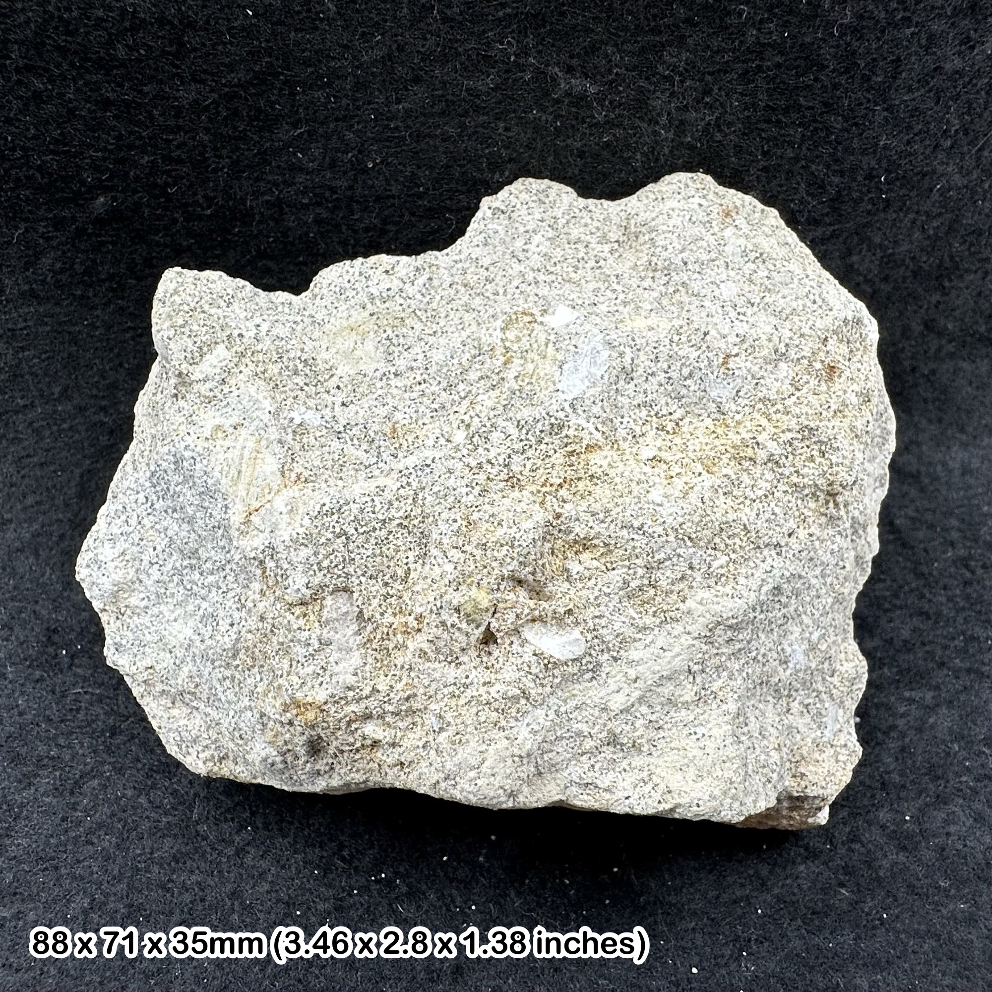 Upper Greensand, Cretaceous, Devon (TEACHING CLASS ROCK) GCSE GEOLOGY