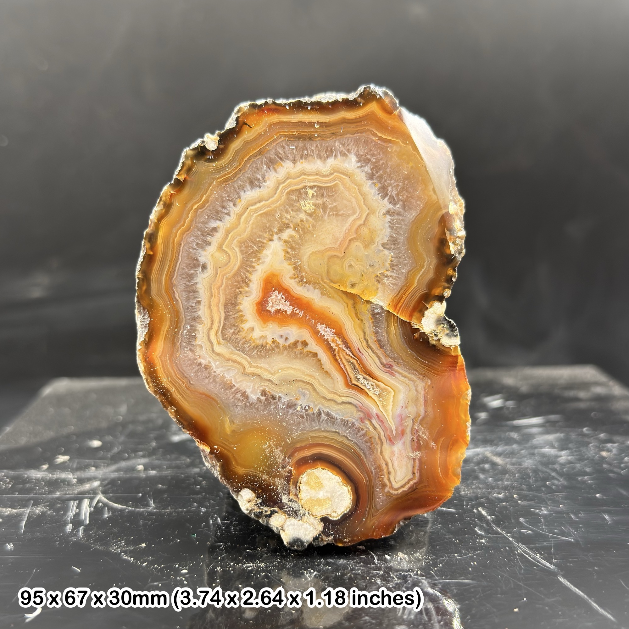 Banded Agate Slice Natural Layered Chalcedony Mineral Specimen Display Piece with Certificate of Authenticity Genuine Quartz Agate