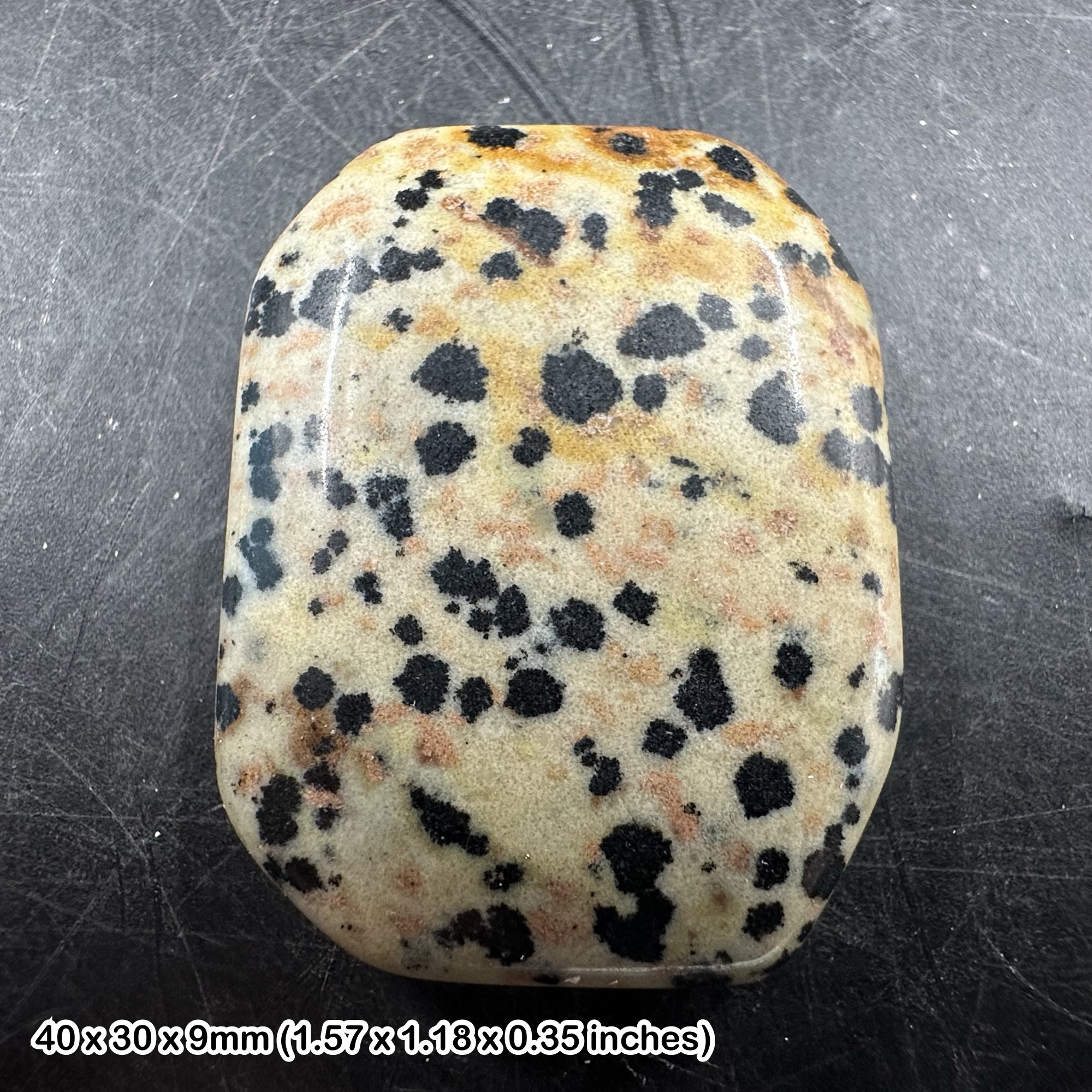 Dalmatian Jasper Palm Stone Polished Spotted Jasper Quartz Mineral Specimen Decorative Collector Stone