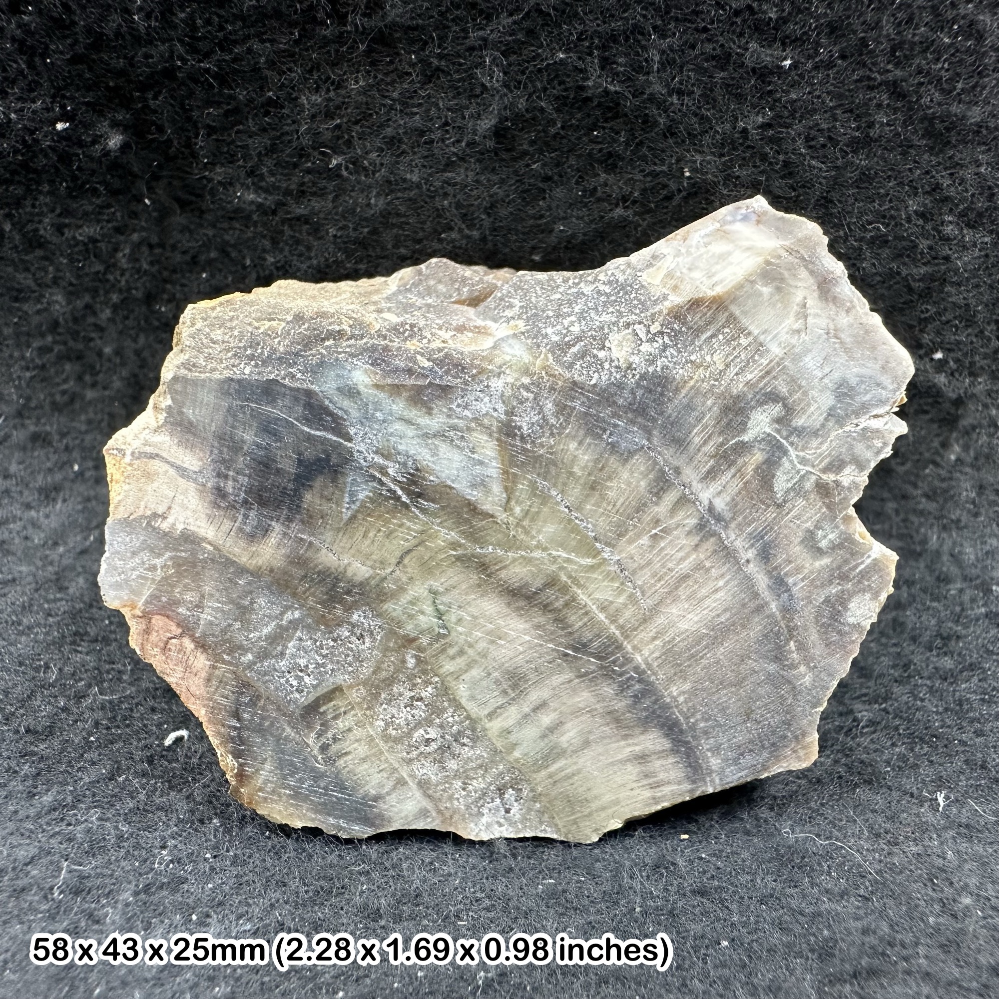 Petrified Wood Agatized Opalized Wood Madagascar Genuine Fossil Display Stone with Certificate of Authenticity