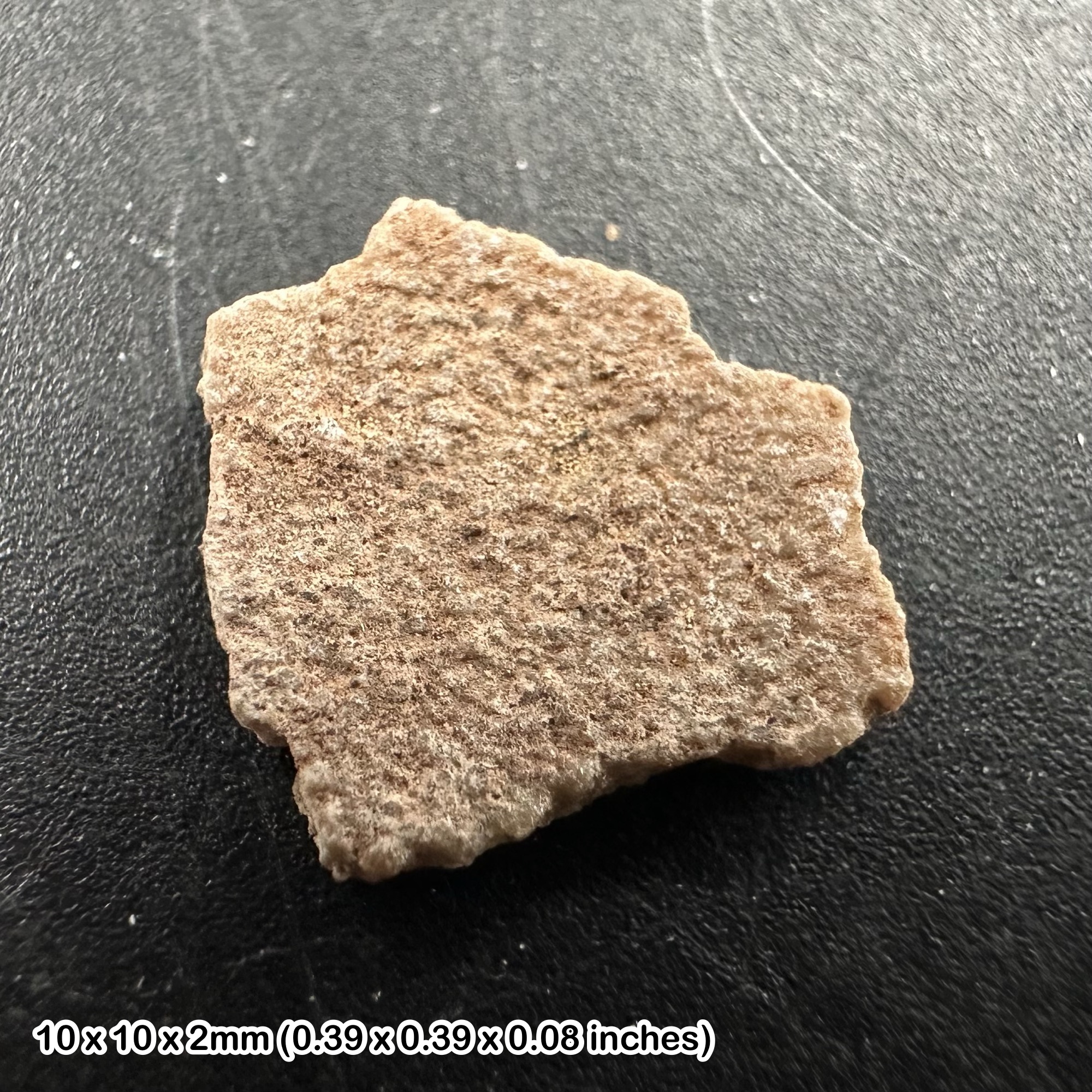 Titanosaur Dinosaur Fossil Bone Fragment – Genuine Cretaceous Specimen from France – With Certificate of Authenticity