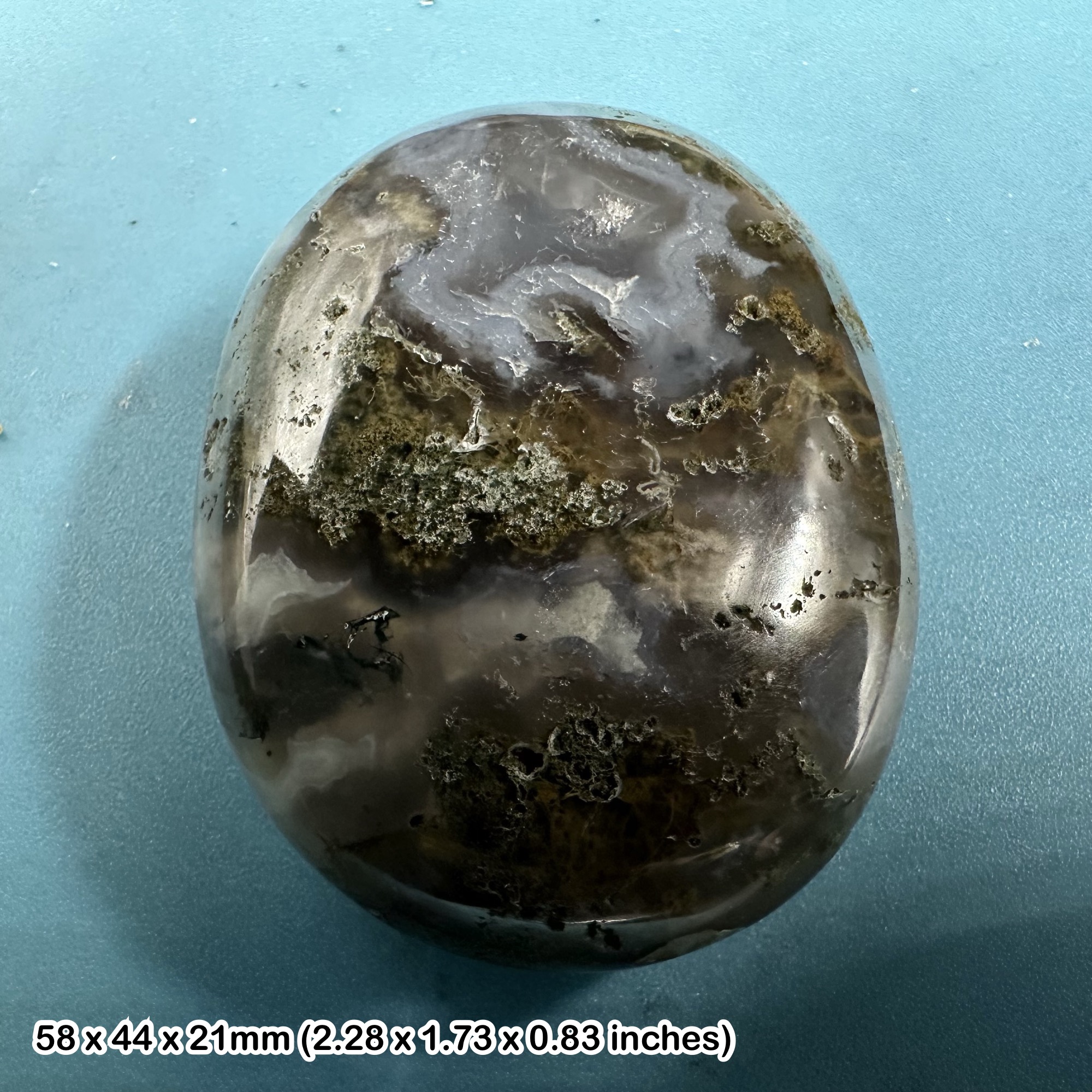 Moss Agate Pebble Crystal Mineral Brazil Natural Polished Agate Specimen with Certificate of Authenticity