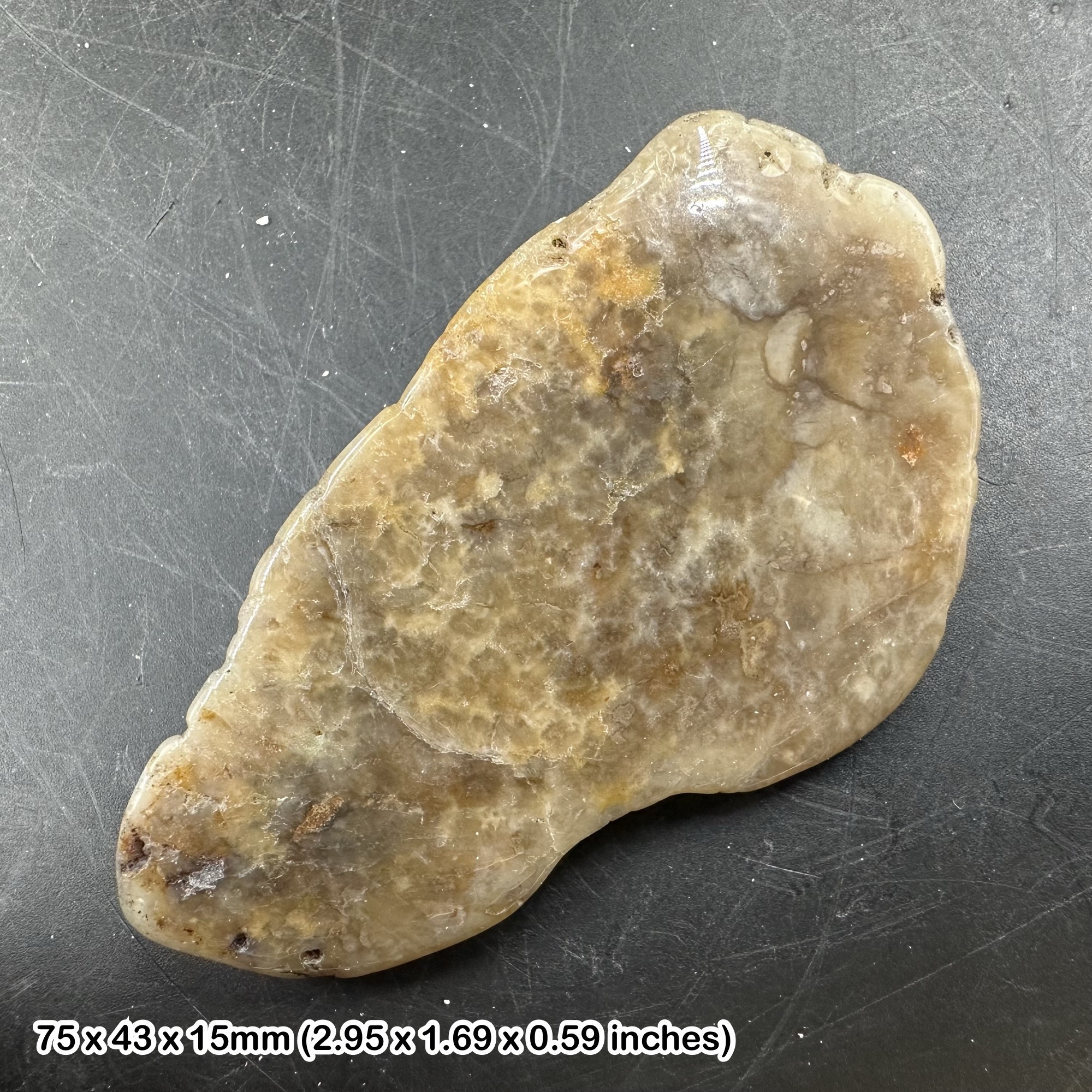 Genuine dinosaur coprolite (fossil poo)