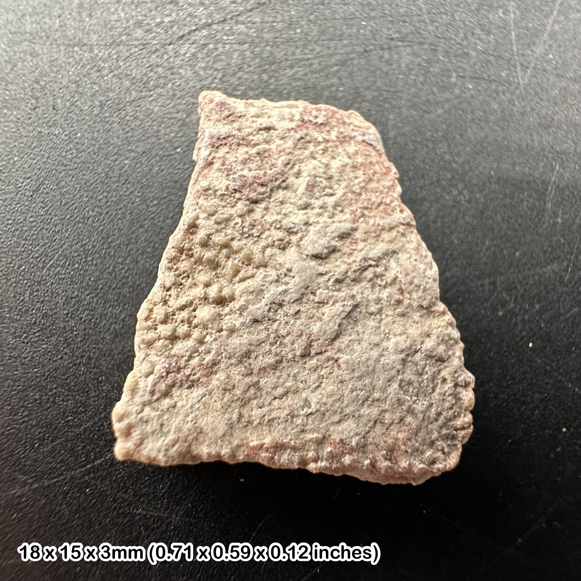 Spanish dinosaur eggshell fossil - titanosaur, cretaceous, burgos, spain, genuine specimen with certificate of authenticity