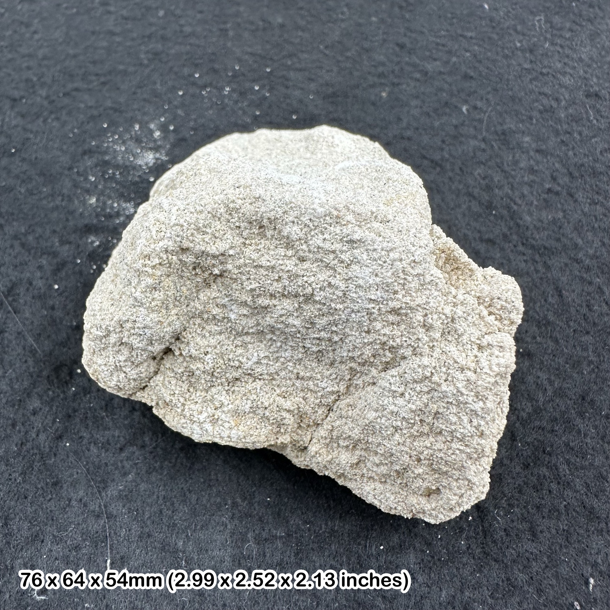 Upper Greensand, Cretaceous, Devon (TEACHING CLASS ROCK) GCSE GEOLOGY