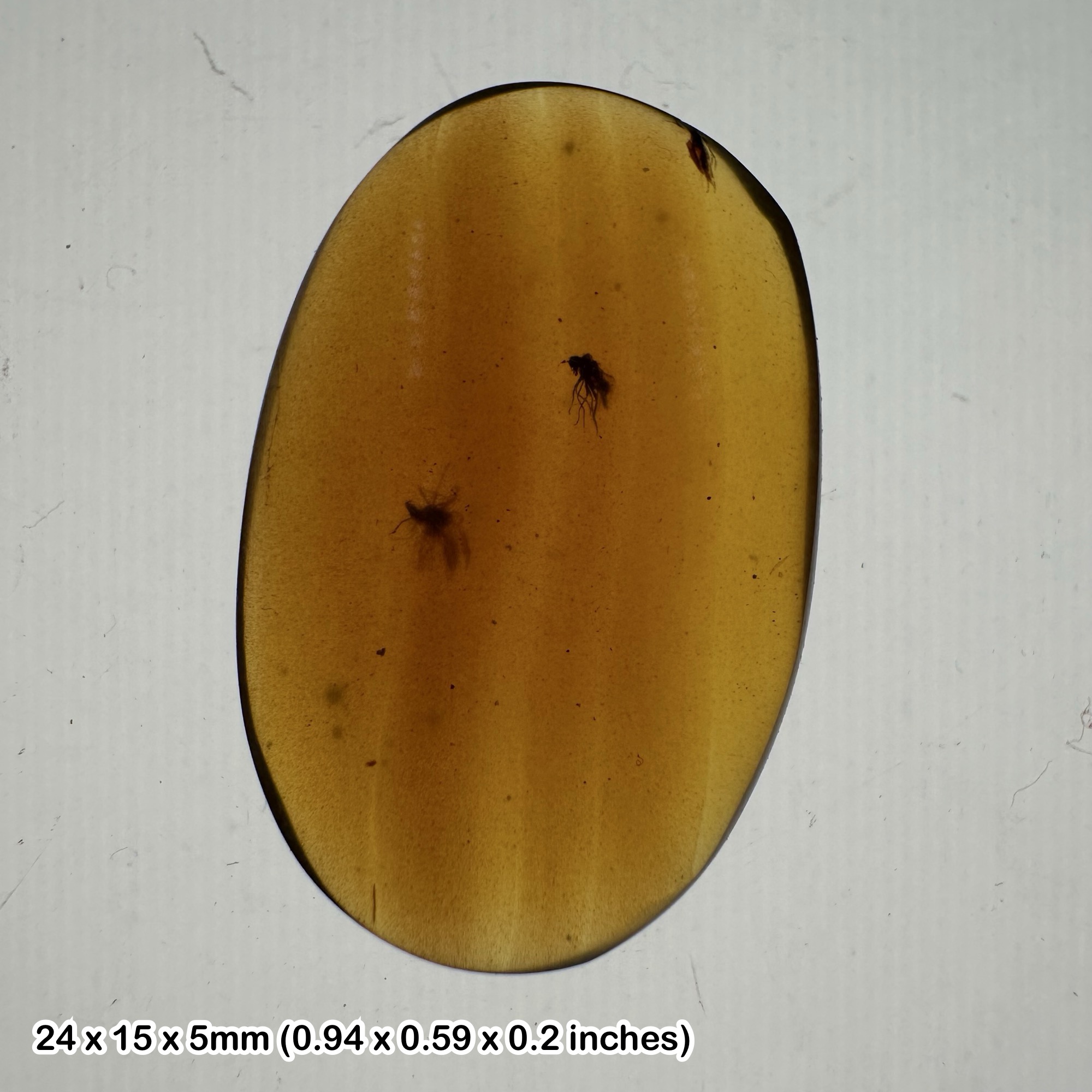 Burmese cretaceous amber with multiple insect & inclusions, uv fluorescent, genuine specimen w/ coa