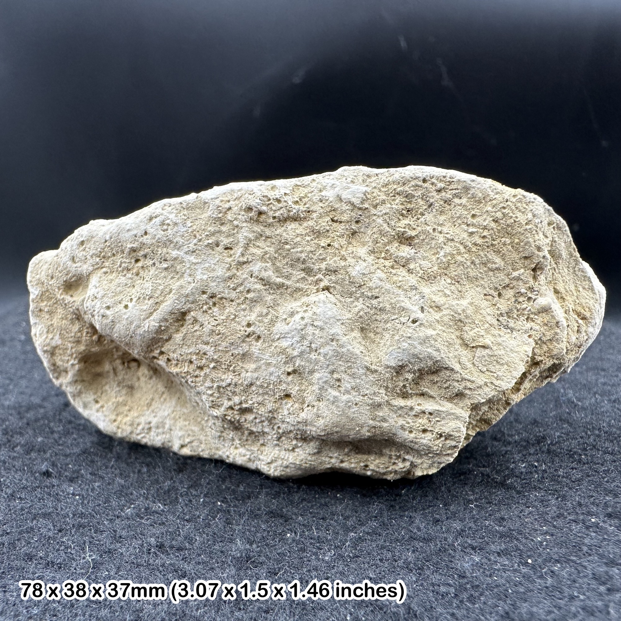 Osmington Oolite, Jurassic Coast, Dorset (TEACHING CLASS ROCK) GCSE GEOLOGY