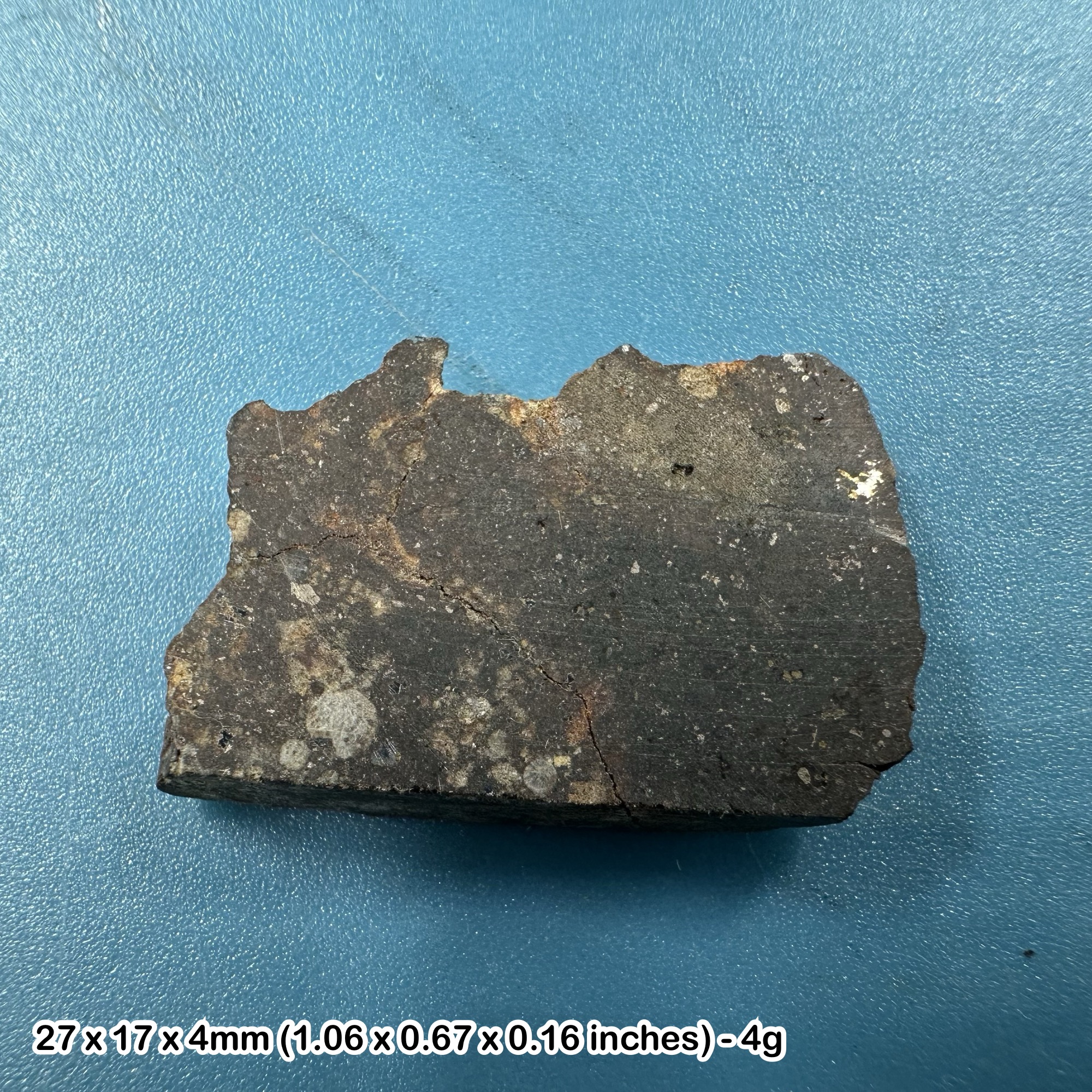 Nwa 869 l5 meteorite slice - rare space rock from the cosmos, genuine chondrite for collectors
