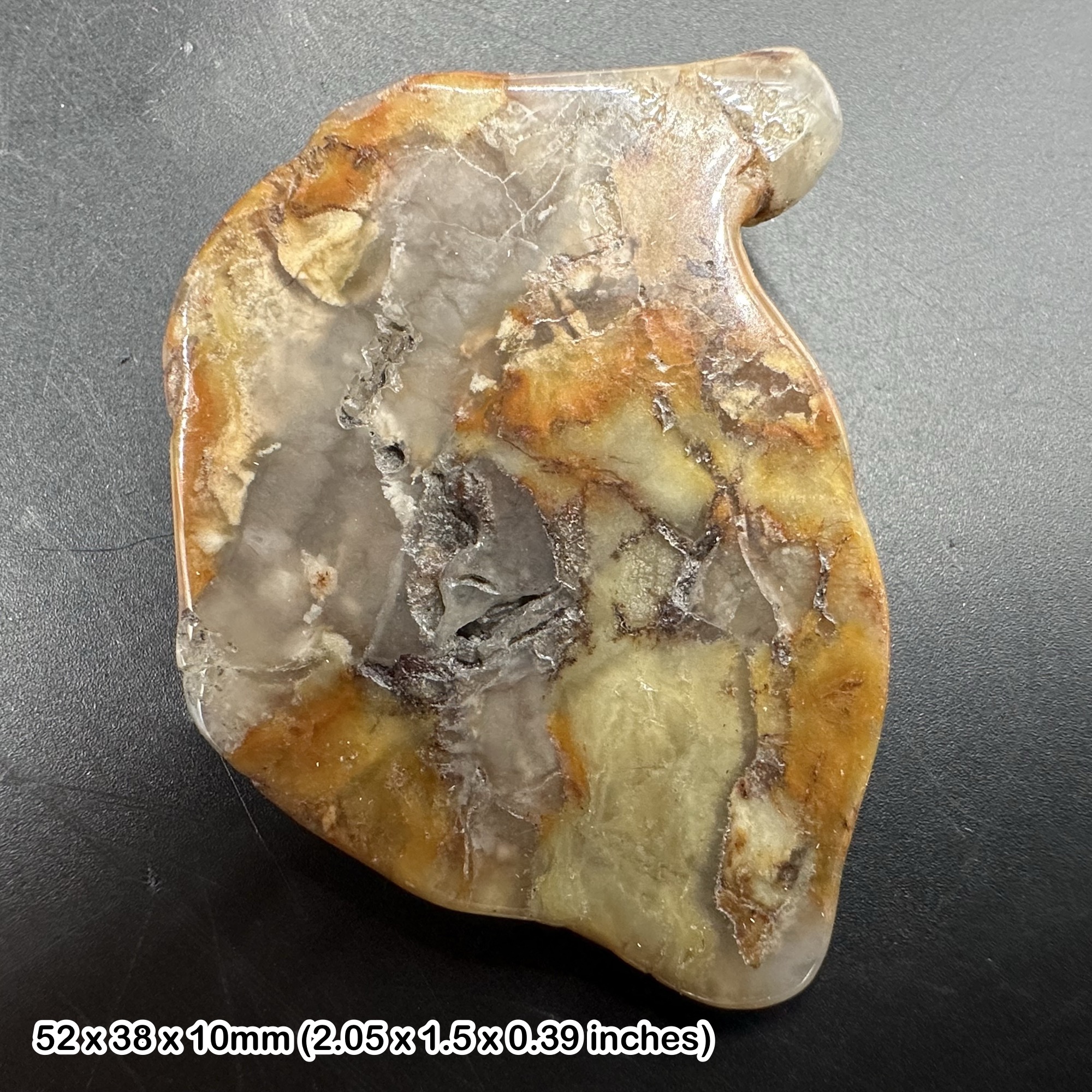 Fossil dinosaur coprolite - authentic fossilized poo - unique collectible