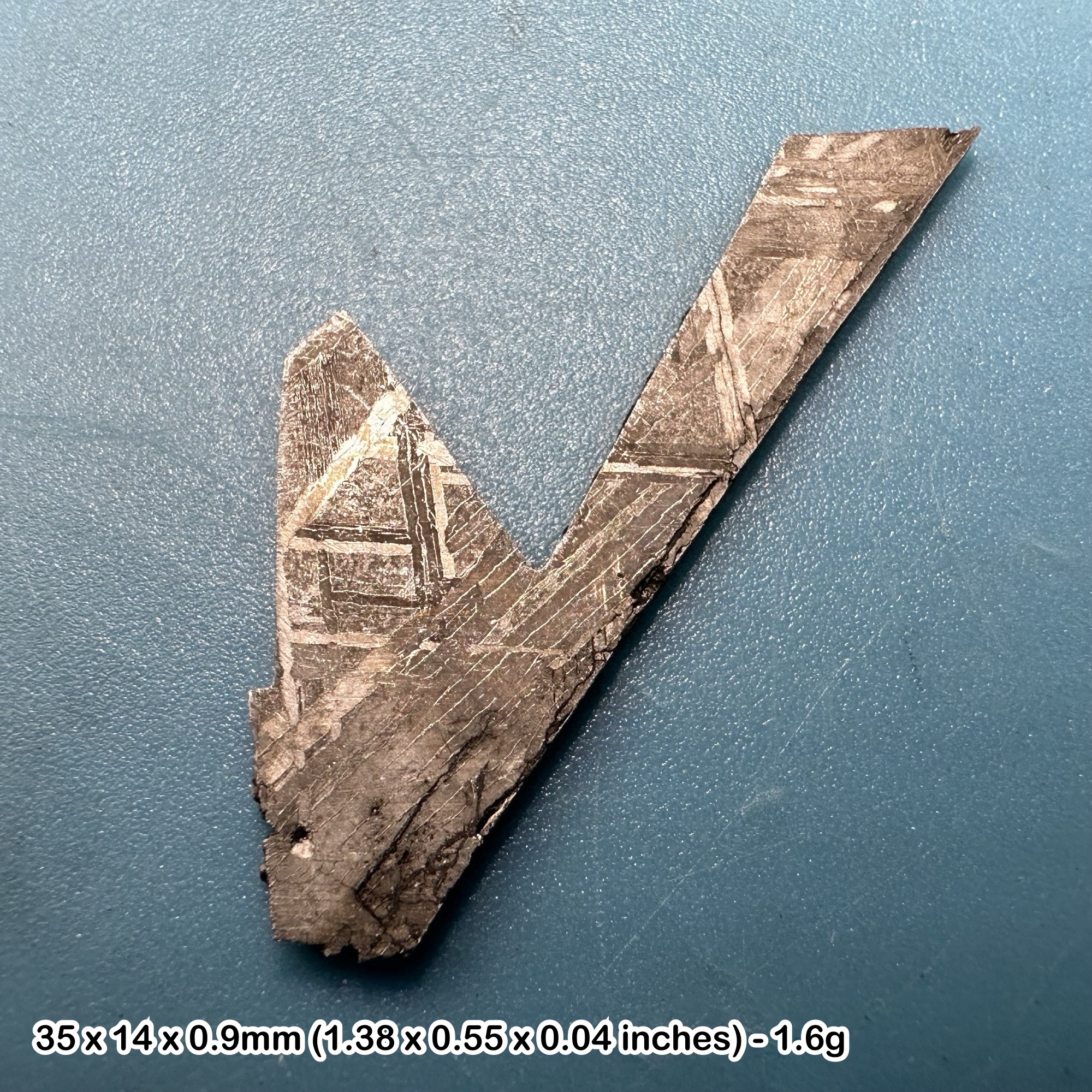 Muonionalusta meteorite slice - swedish space rock with widmanstatten pattern