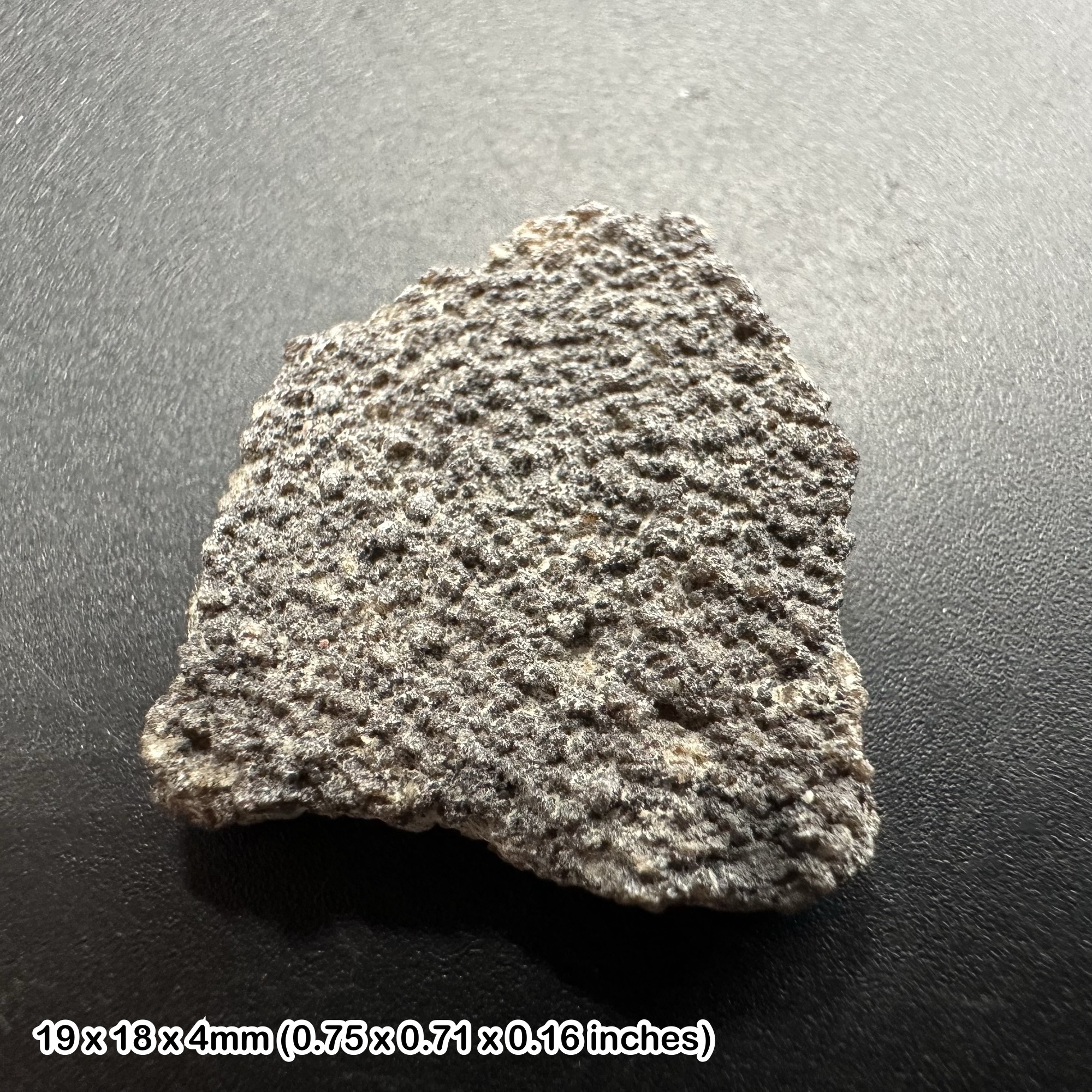 Titanosaur dinosaur eggshell fossil – cretaceous france – genuine sauropod egg shell with coa