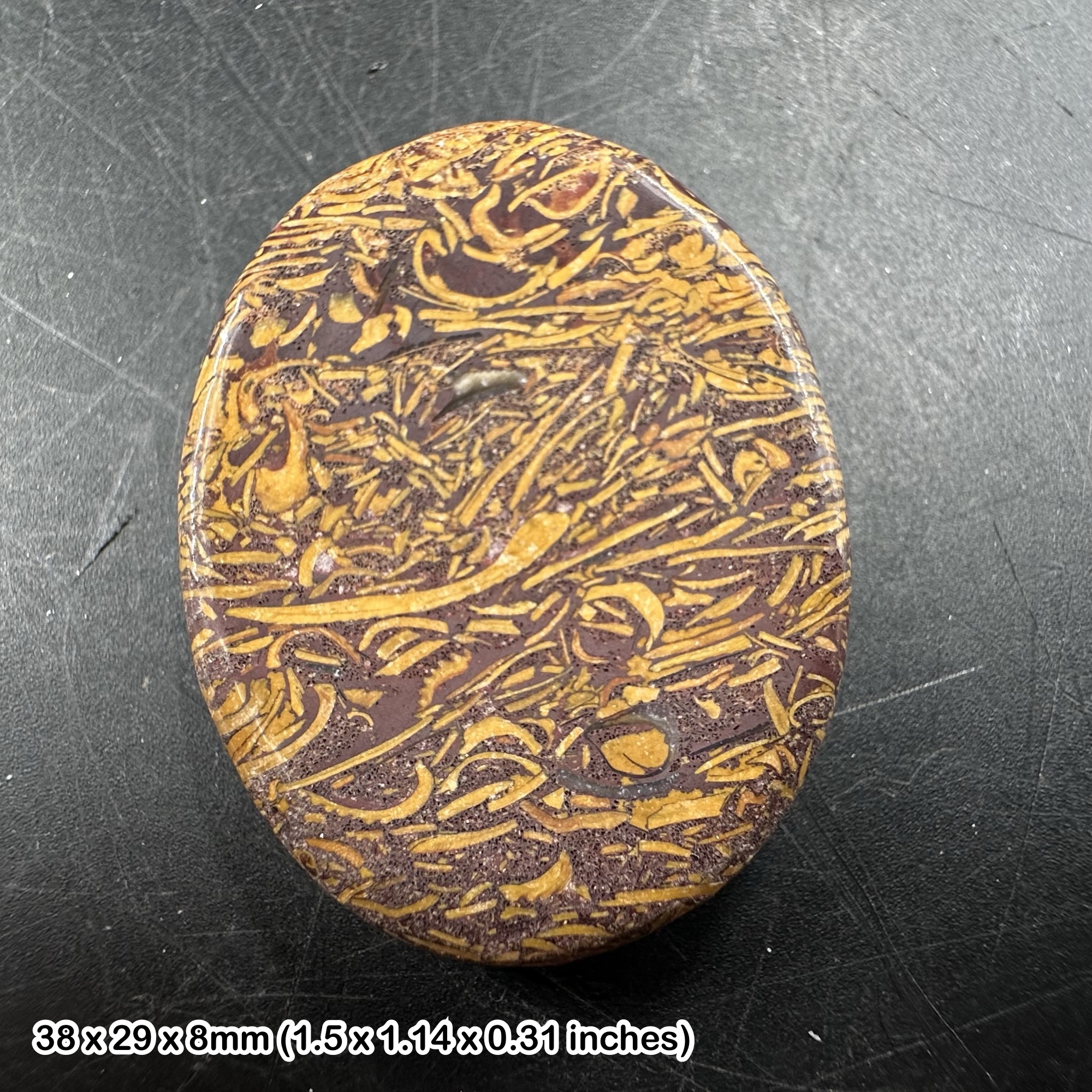 Miriam Stone Worry Stone Palm Stone Polished Fossil Jasper