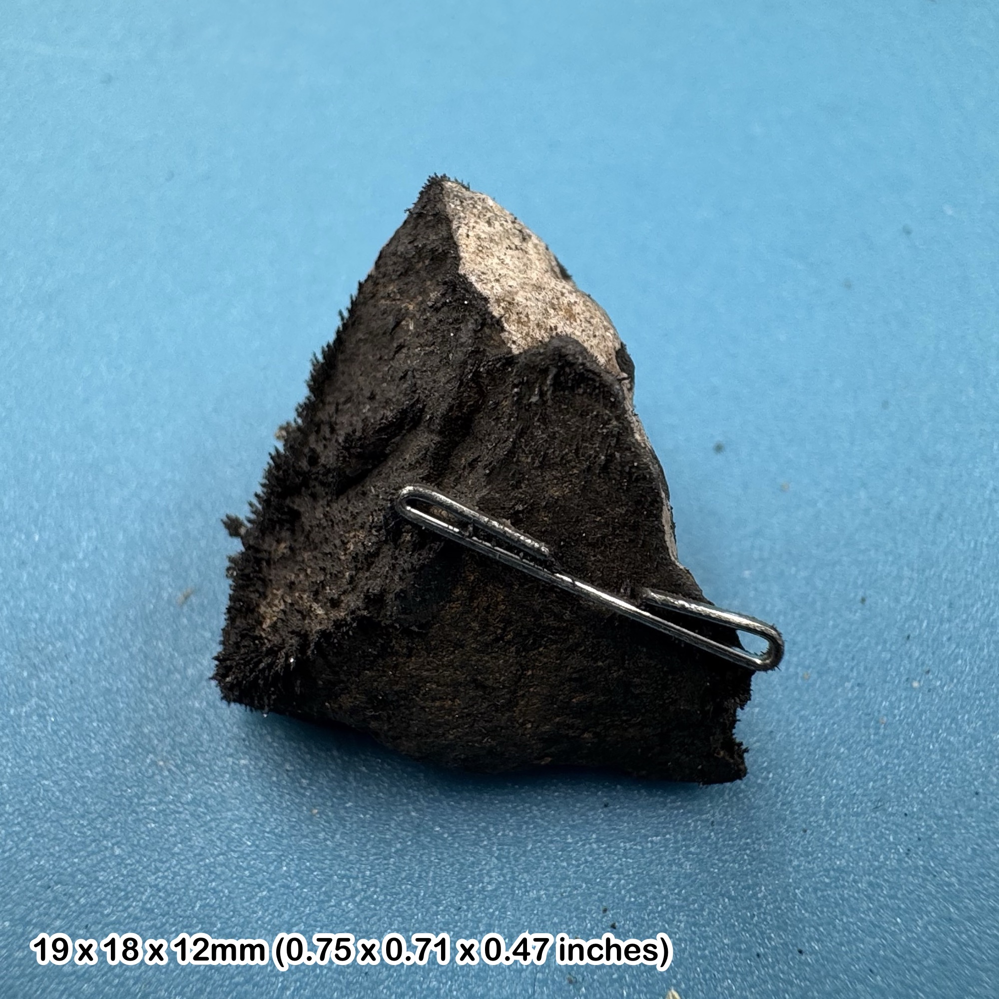 Lodestone Natural Mineral Specimen Bolivia Collectible Iron Oxide Crystal